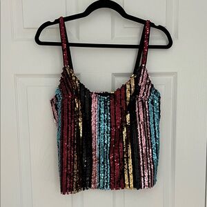 BB Dakota ⭐️ Multicolor Sequin Striped Women's Top